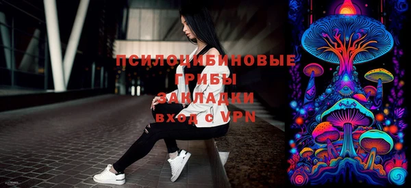 гашик Беломорск