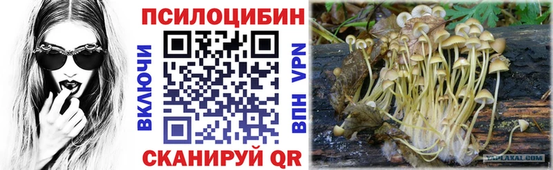Галлюциногенные грибы GOLDEN TEACHER Реутов
